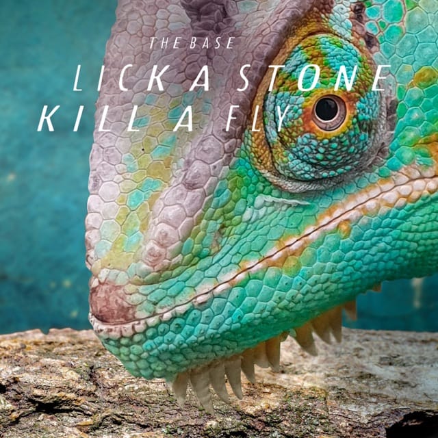 Lick a Stone Kill a Fly - Single