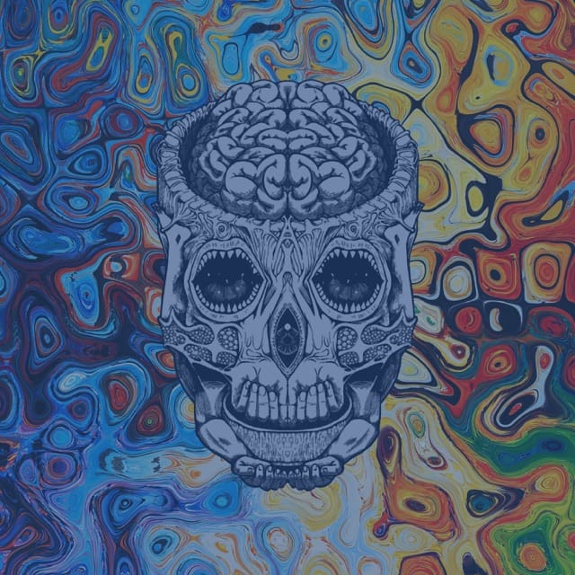 Boltzmann Brain - EP