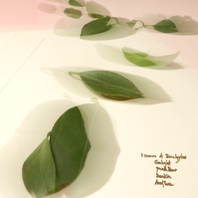 Essence of Eucalyptus - EP