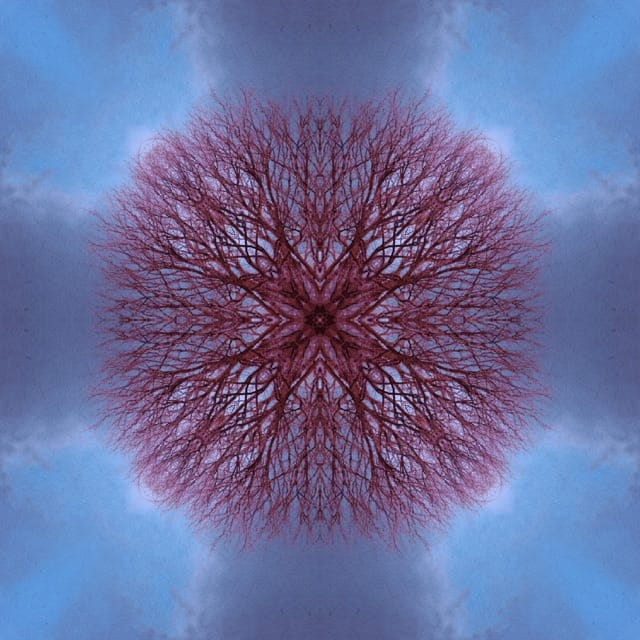 Transient Ocean