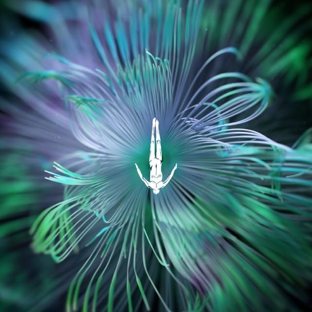 Five Phases-Reflected Wisdom - Single