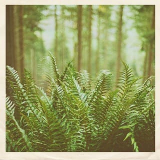 Just Visiting - EP