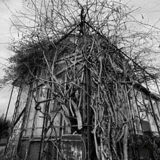 Dead Decades - EP