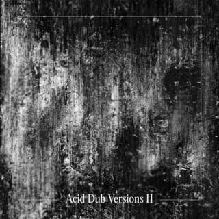 Acid Dub Versions II
