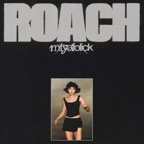 ROACH