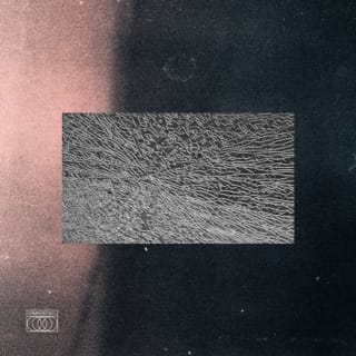 C Plane - EP