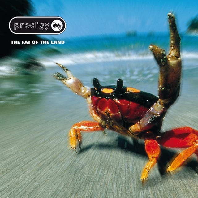 The Fat Of The Land (The Remixes)