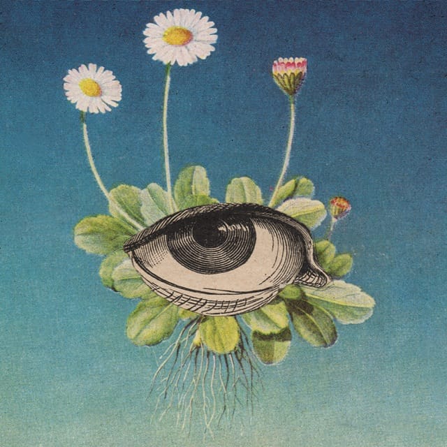 The Limited Circle is Pure - EP