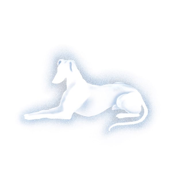 Bruises Off The Peach (Live Performance) - Single