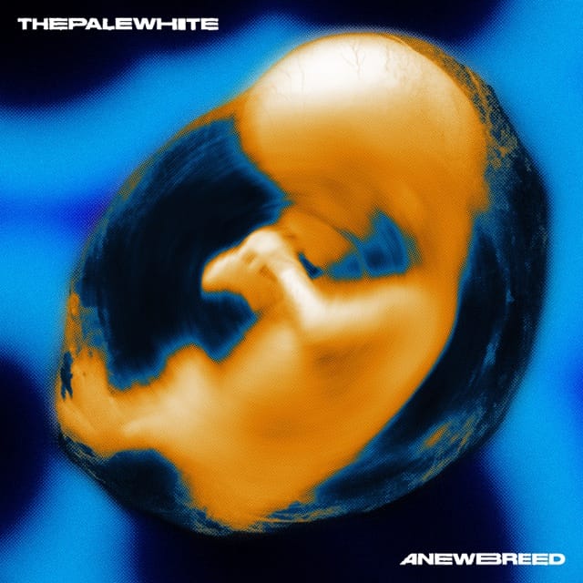 A New Breed - EP