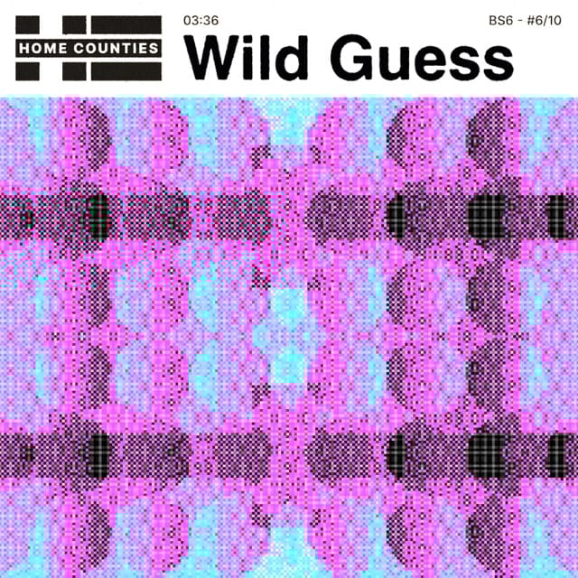 Wild Guess - Single
