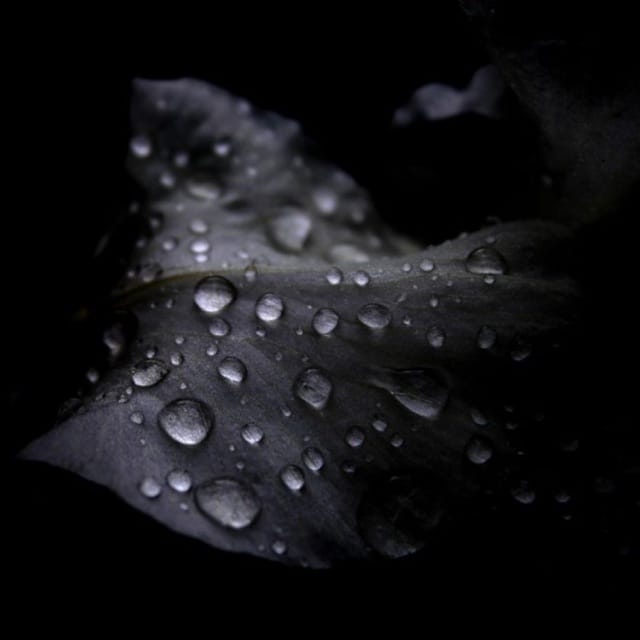 The Storm - EP