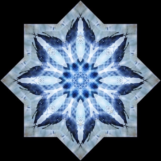 The Whisper Of Stardust