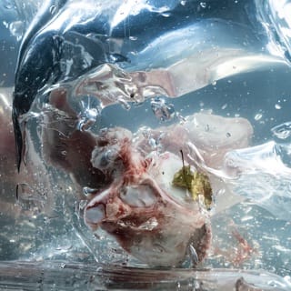 Liquid Bones - EP
