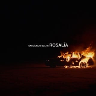 Sauvignon Blanc - Single