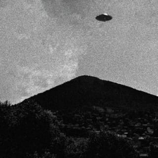 The Sighting