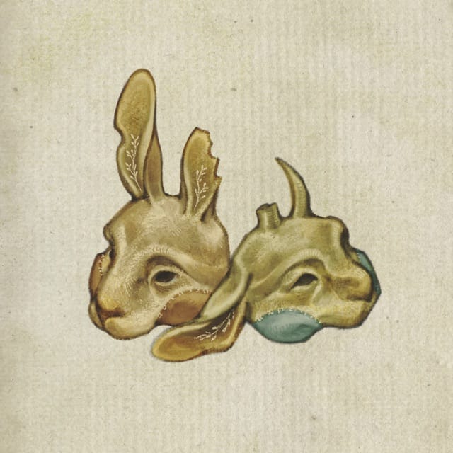 Bird cage blue and yellow