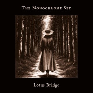 Lotus Bridge