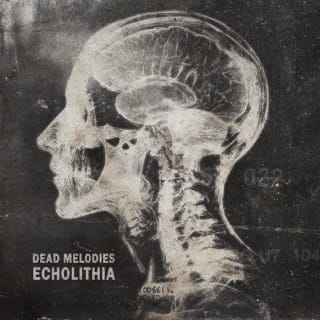 Echolithia