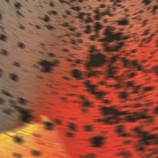 Pareidolia III - EP