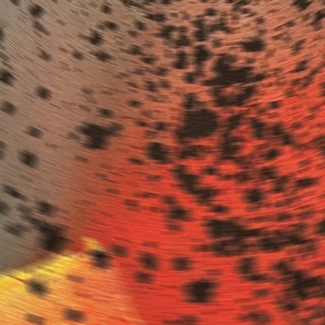 Pareidolia III - EP