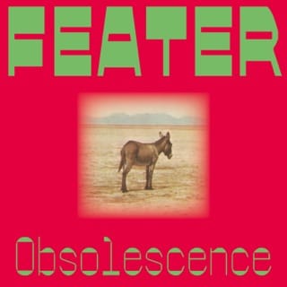 Obsolescence