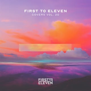 Covers Vol. 20