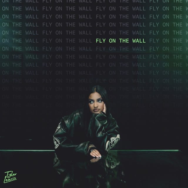 fly on the wall - Single