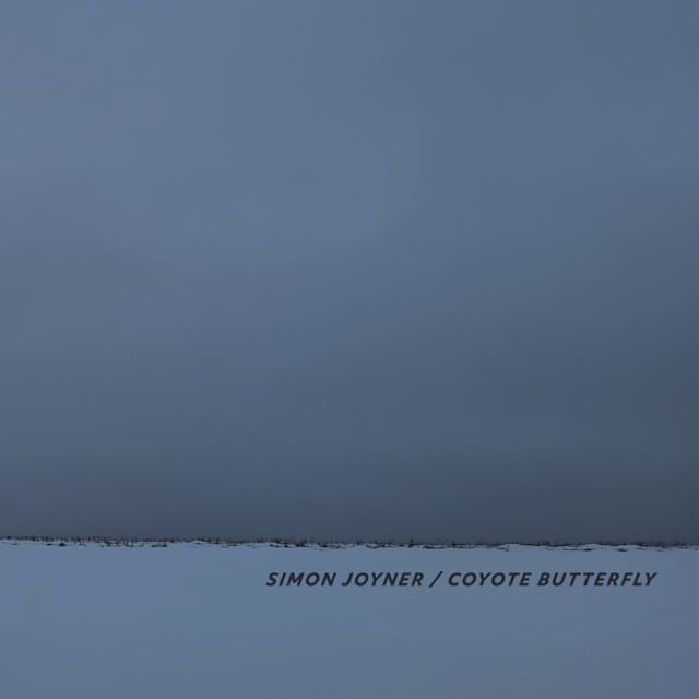 Coyote Butterfly