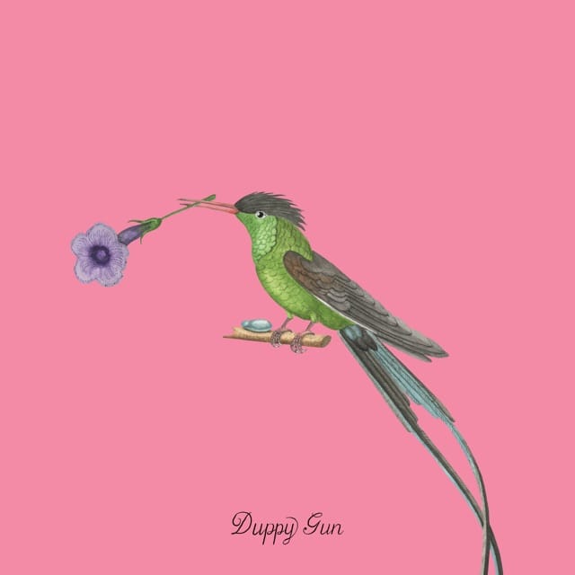 Duppy Gun - EP