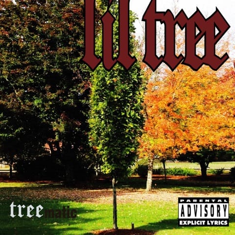 Treematic