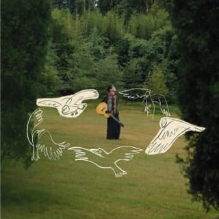 Bird Chronicle
