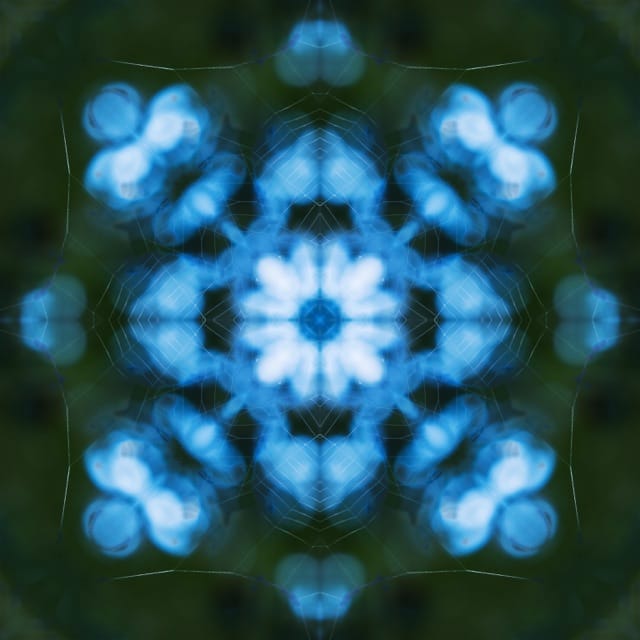 Weaving A Dream