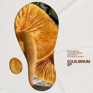 Equilibrium - EP