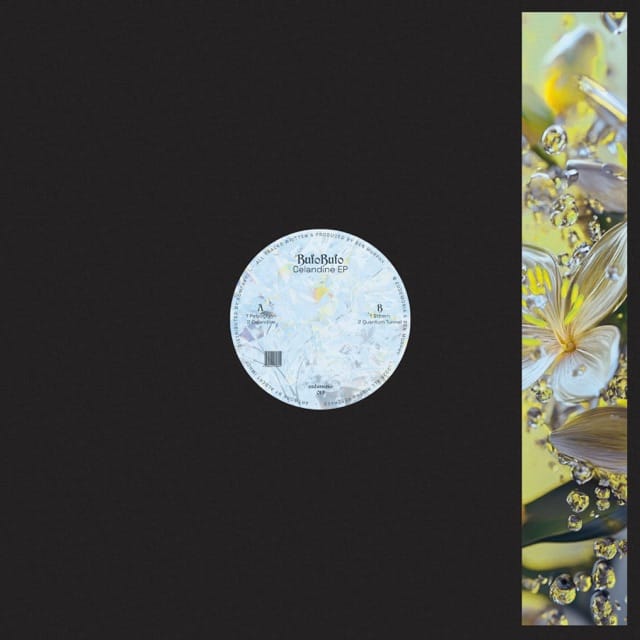 Celandine - EP