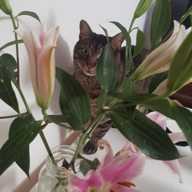 Love Is Everywhere - EP