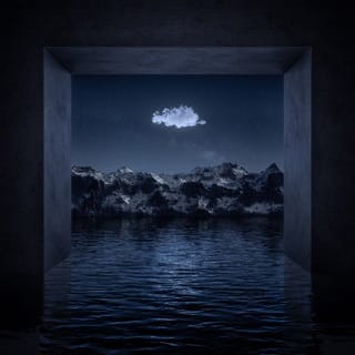 DIM - EP