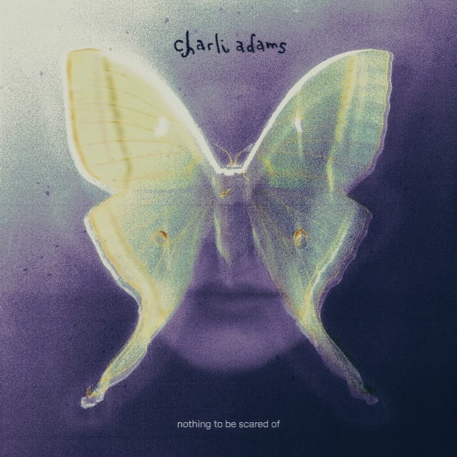 nothing to be scared of - EP