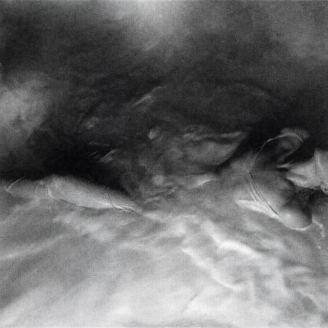 FLOWERS for VASES / descansos