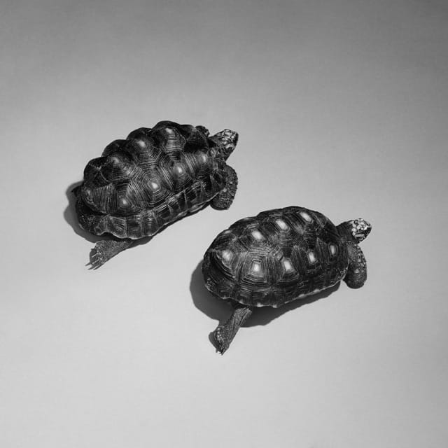 Love Is A Stillness - Single