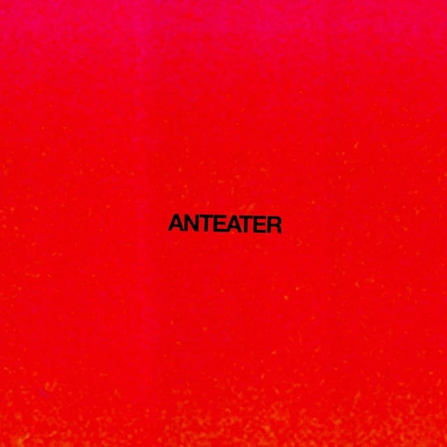 Anteater - Single