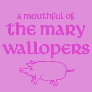 A Mouthful of The Mary Wallopers - EP