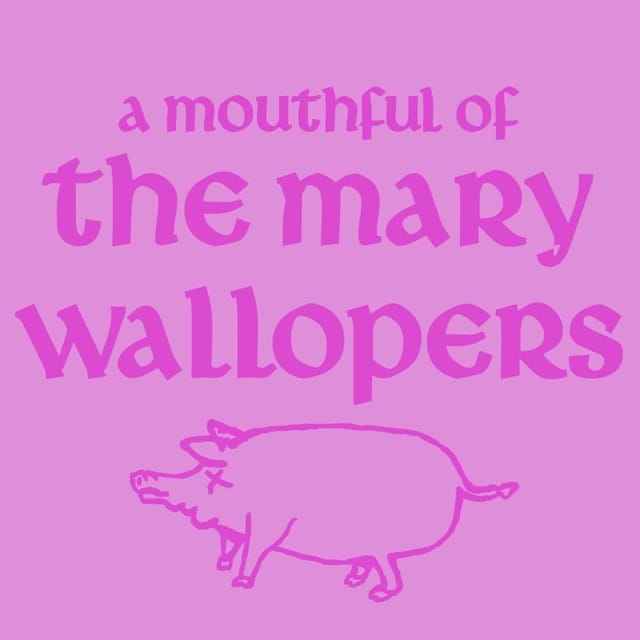 A Mouthful of The Mary Wallopers - EP