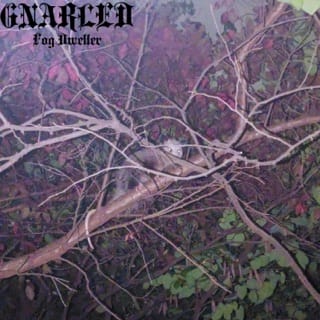Fog Dweller - EP