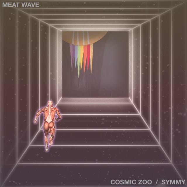 Cosmic Zoo / Symmy - Single