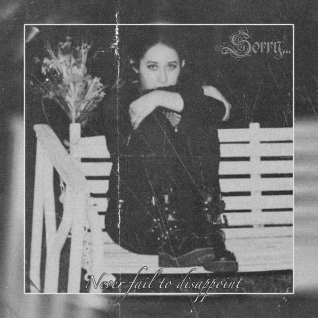 Never Fail to Disappoint - EP