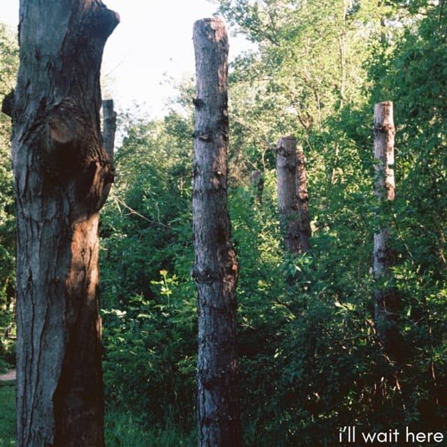 s/t - Single