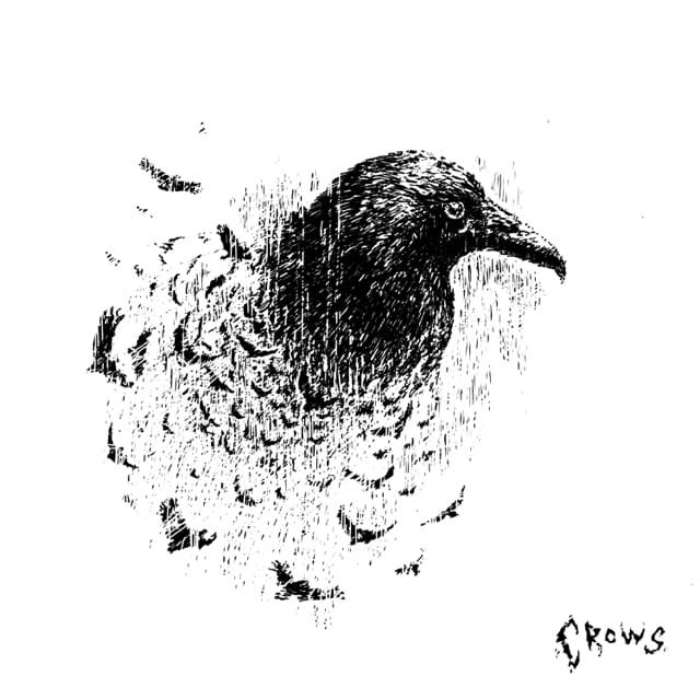 crows - EP