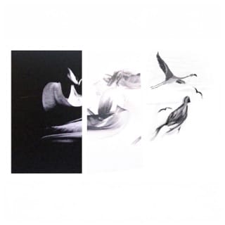 Visions I Lost - EP