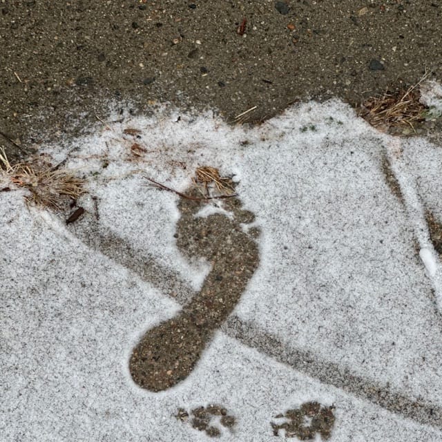 The Idiot / The Car Knows the Way - Single